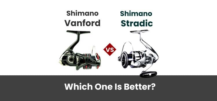 Shimano Vanford Vs Stradic FL Which One Is Better Fishing Papa