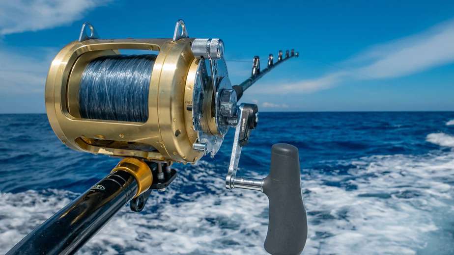 best spinning reels under 100