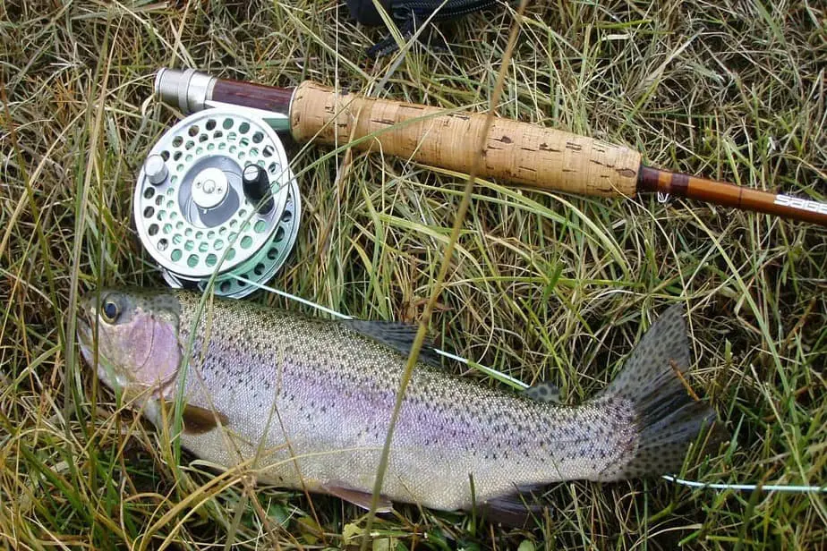 moonshine fly fishing