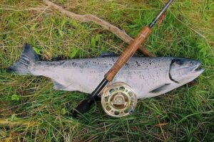 Best Salmon Rod and Reel Combo