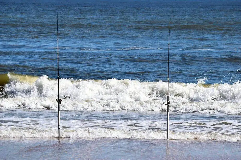 Best Surf Casting Rod For Distance Top Picks For Fishing Papa