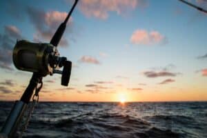 Best Baitcast Reels For Saltwater Fishing