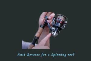 Anti Reverse for on a Spinning Reel