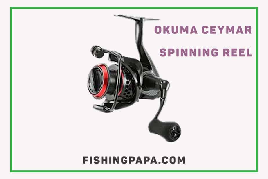 Okuma Ceymar A Spinning Reels, 7BB+1RB Bearings, Quick-Set Anti-Reverse Okuma Ceymar A Spinning Reels, 7BB+1RB Bearings, Quick-Set Anti-Reverse