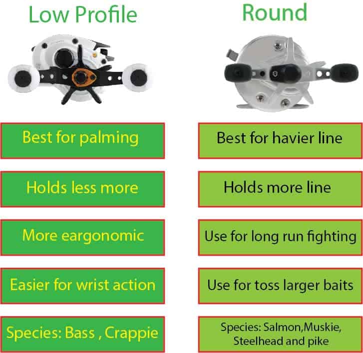 Low profile vs Round Infographics