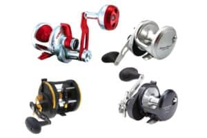 Good Conventional Reels for Bottom Fishing