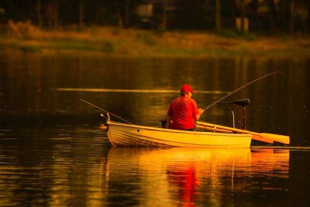 Catfish in Lake