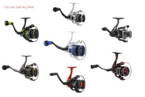 Lews Spinning Reels