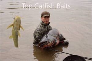 Best Baits for Catfish