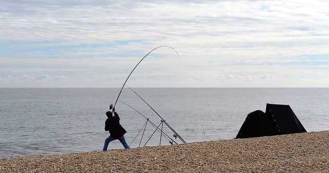 Fishing Rod Action And Power