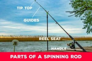 Parts Of A Spinning Rod