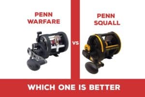 Penn Warfare Vs Squall