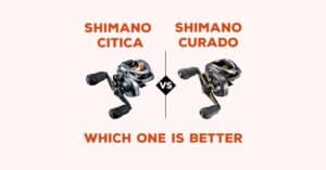 Shimano Citica vs Curado