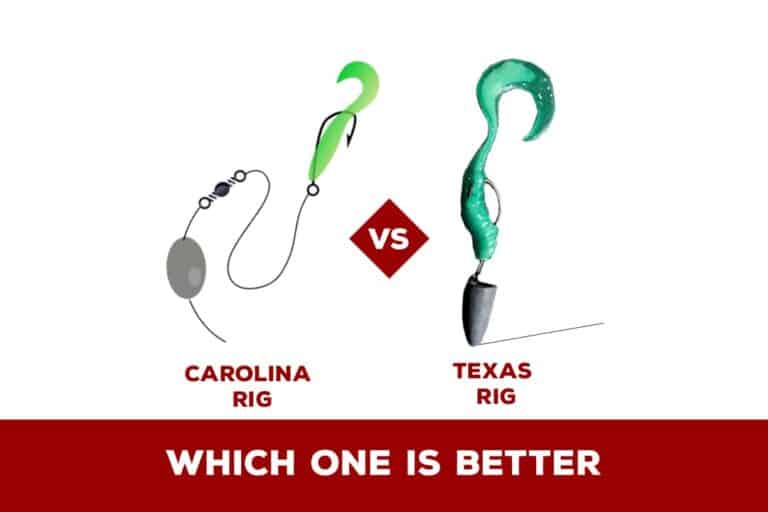 Can You Use A Fly Rod With A Spinning Reel? Fishing Papa