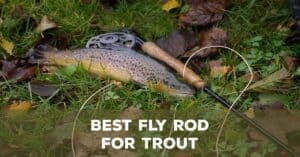 Best Trout Fly Rods