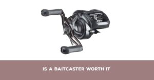 Is a Baitcaster Worth It