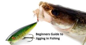 Guide To Jigging Fishing