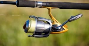 Best Top Water Rod Reel And Combo