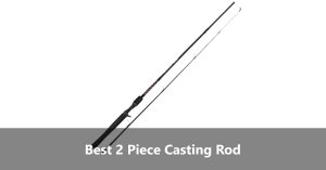 Top Two Piece Baitcasting Rods