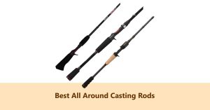 Best All Around Baitcasting Rods