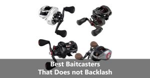 Best Baitcasters That Does not Backlash