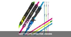 Best Crappie Rods For Jigging