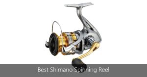 Top Shimano Spinning Reels