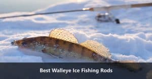 Top Ice Fishing Rods For Walleye