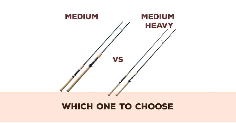 medium-vs-medium-heavy-rod-what-re-the-differences-fishing-papa