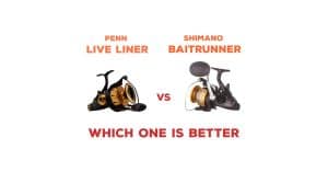 Penn Live Liner versus Shimano Baitrunner