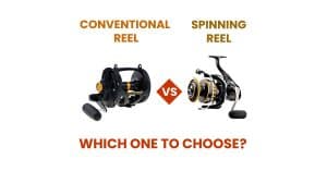 Conventional Or Spinning Reel