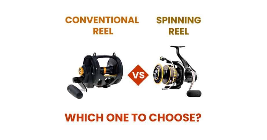 Conventional vs Spinning Reel: (5 Key Differences) - Fishing Papa