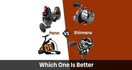 Penn vs Shimano Reels : Which is Better