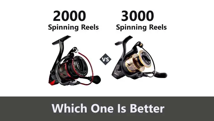 2000 Versus 3000 Spinning Reels