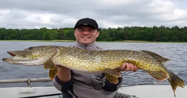 A Monster Pike fishing Trophy