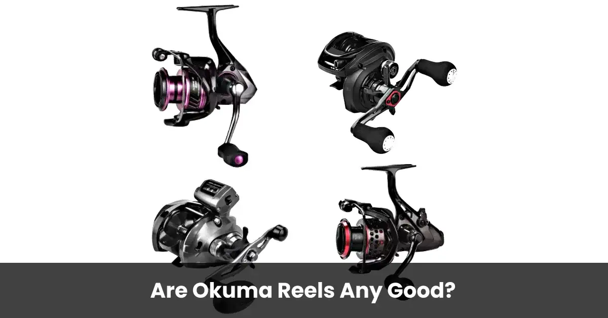 Are Okuma Reels Any Good