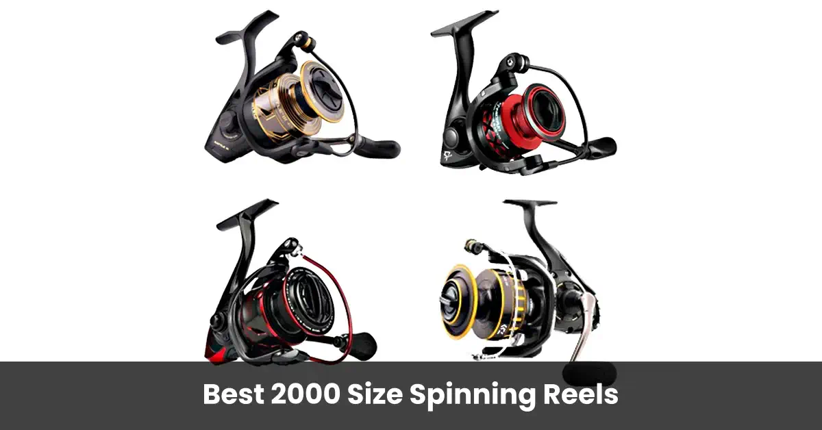 Best 2000 Size Spinning Reels