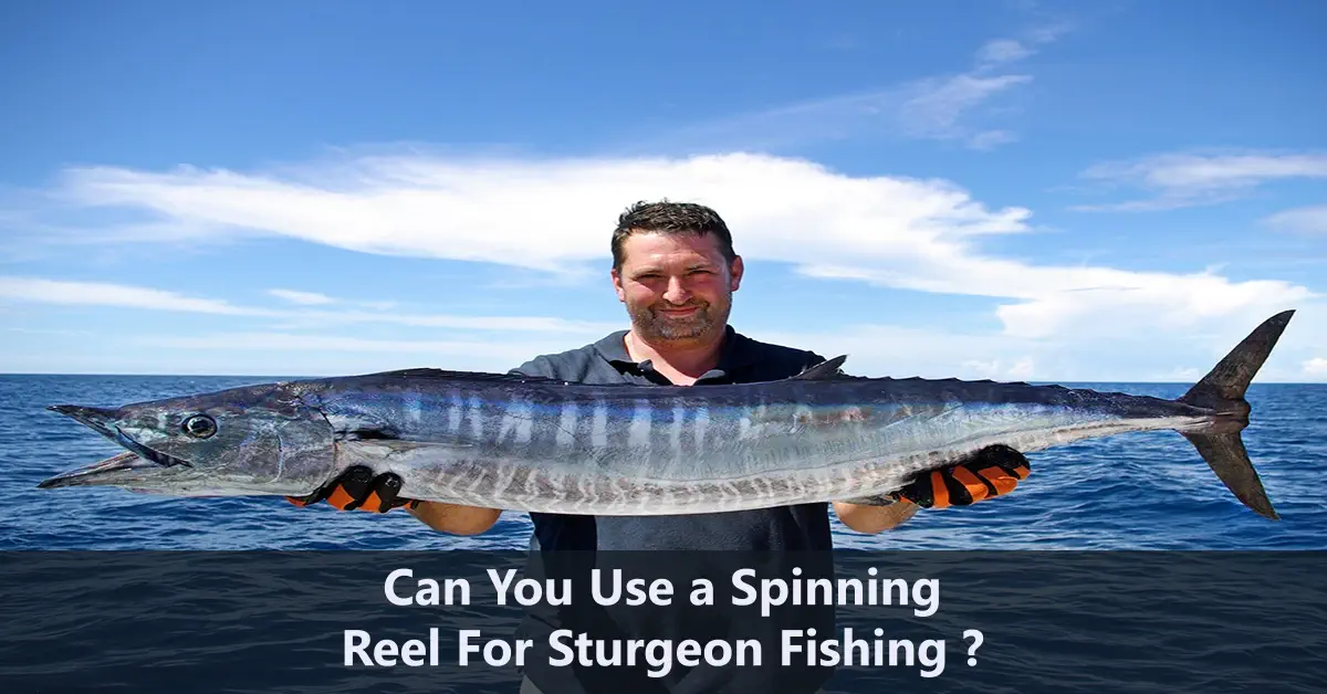 Can You Use A Spinning Reel For Sturgeon Fishing