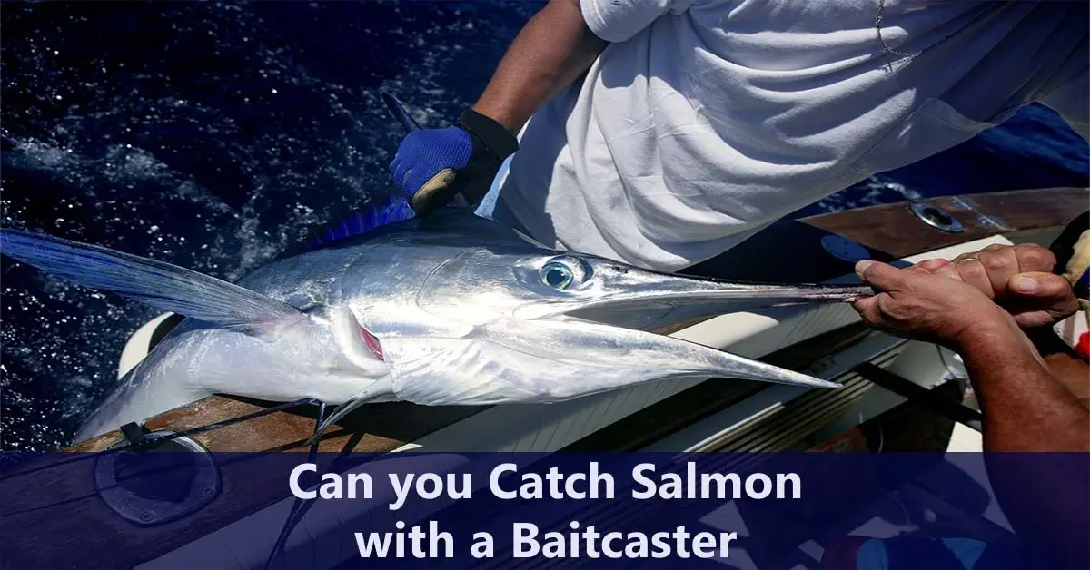 Can You Catch Salmon With a Baitcaster