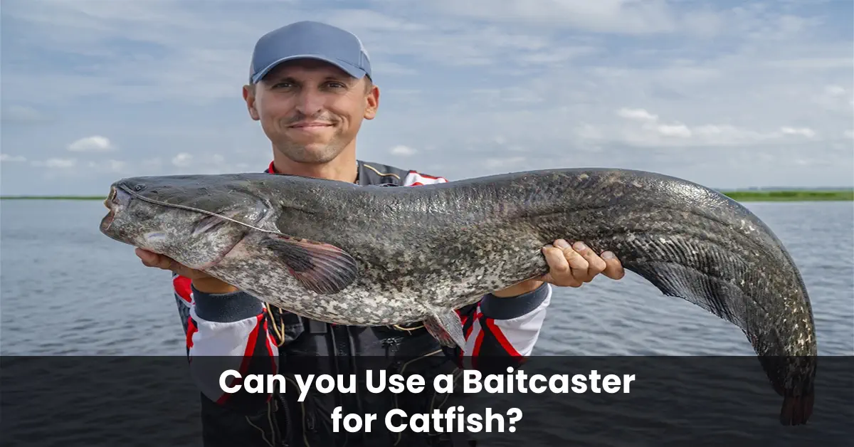 Can you Use a Baitcaster for Catfish