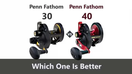 Penn Fathom 30 vs 40 : Which One is Better