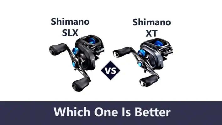 Shimano SLX Versus XT