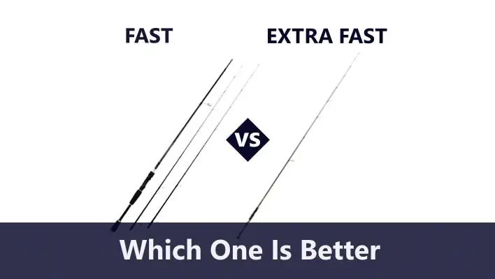 Fast Or Extra Fast