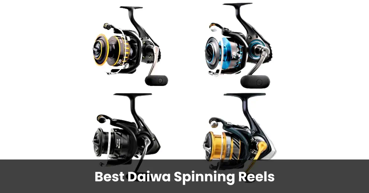 Best Daiwa Spinning Reels
