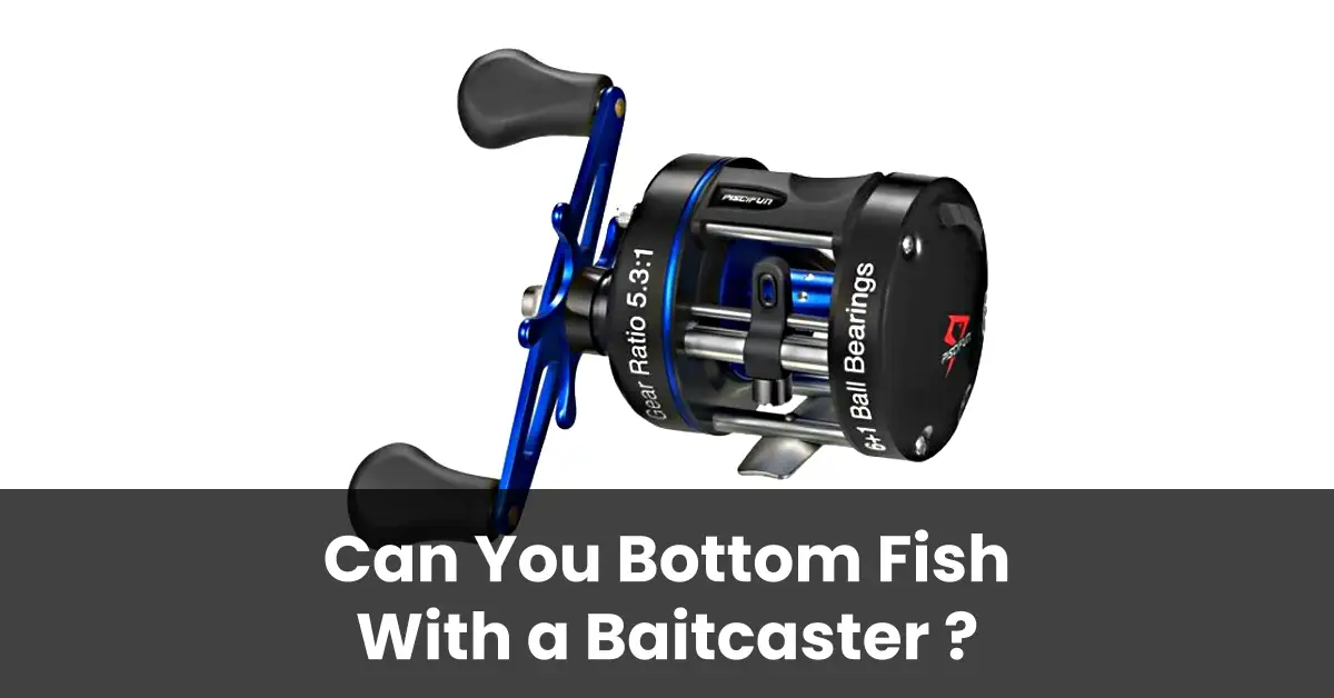 Can You Bottom Fish With Baitcaster