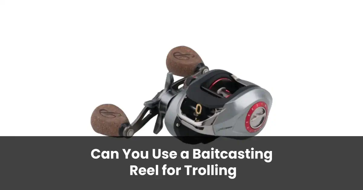 Can You Use a Baitcasting Reel for Trolling