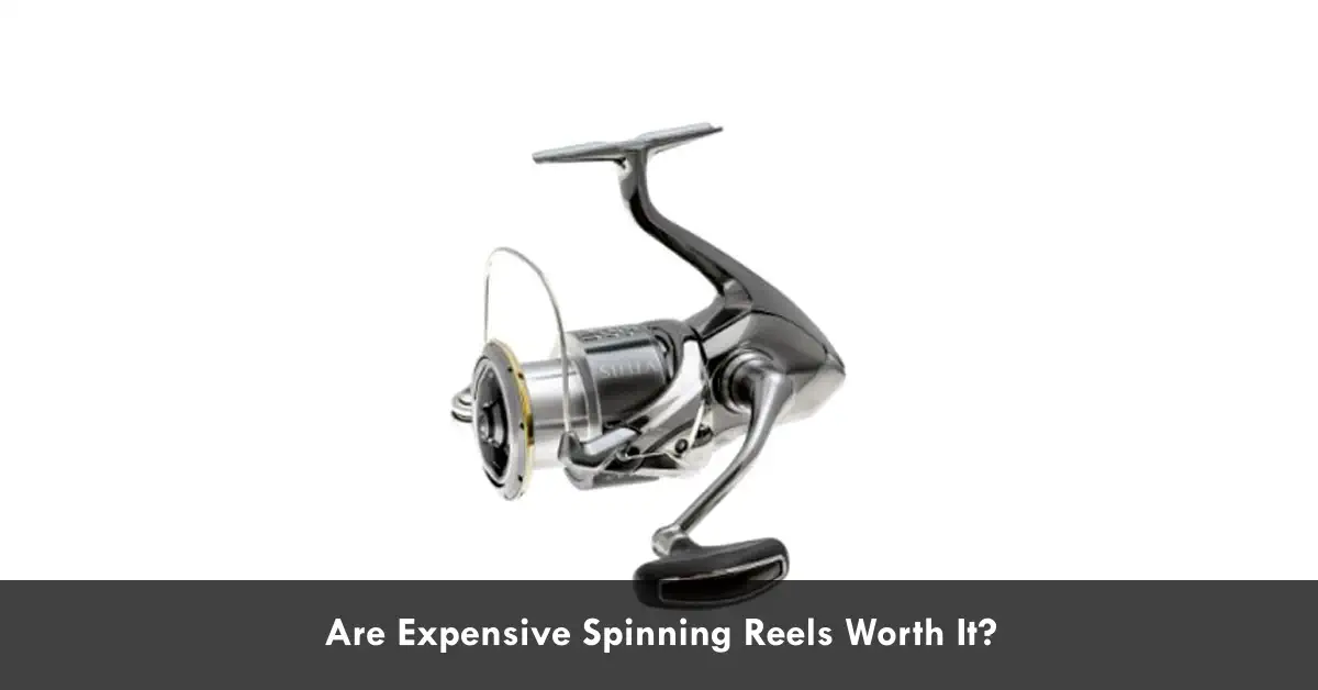 Are Expensive Spinning Reels Worth It