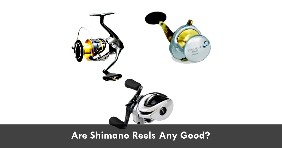 Are Shimano Reels Any Good