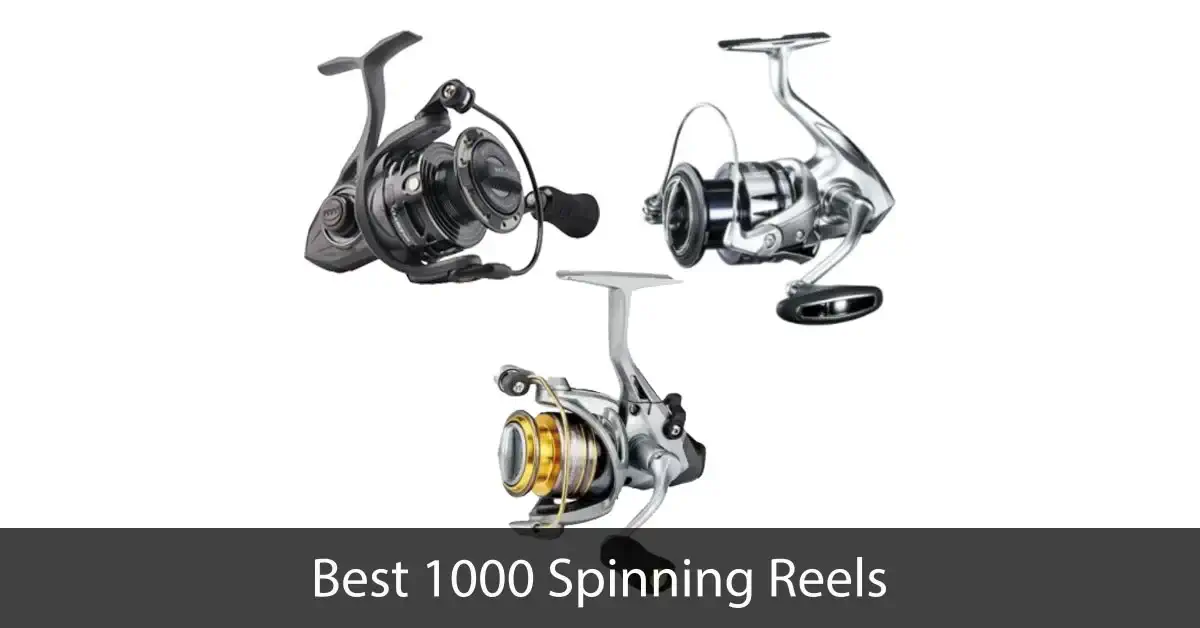 Best 1000 Spinning Reels