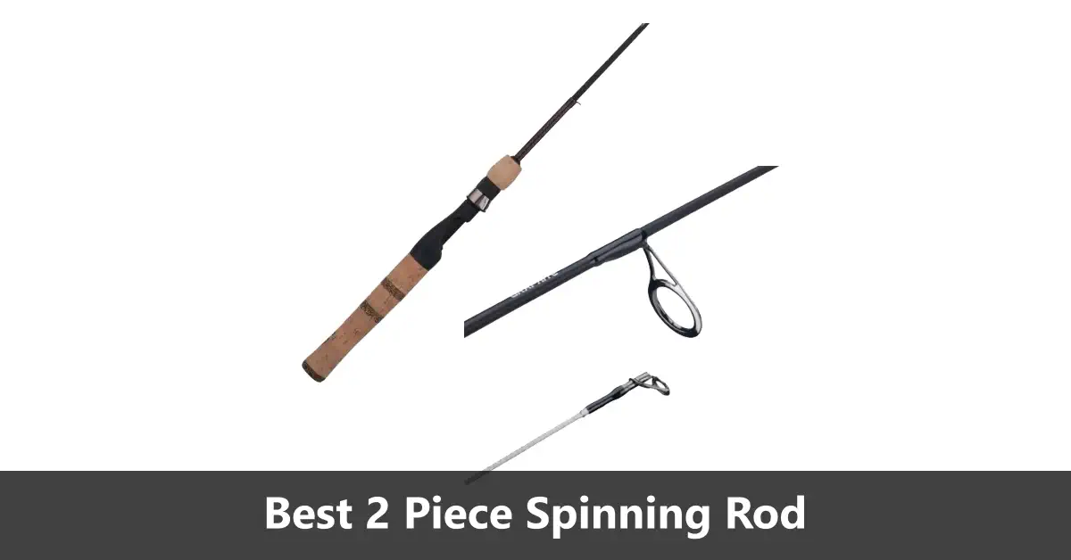 Best Two Piece Spinning Rods